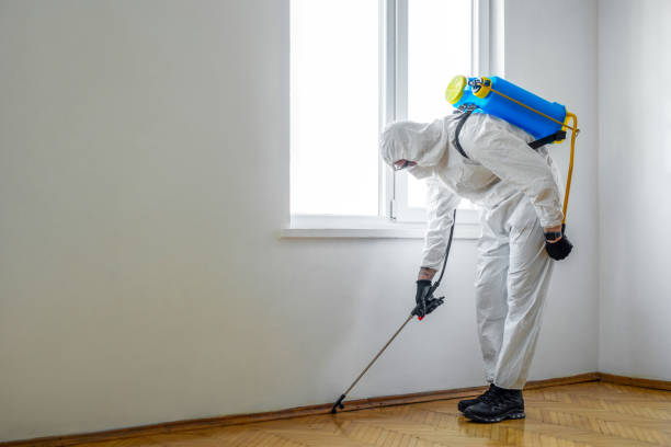 Best Bed Bug Extermination  in East Franklin, NJ